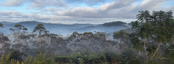 Misty Mantadia panorama