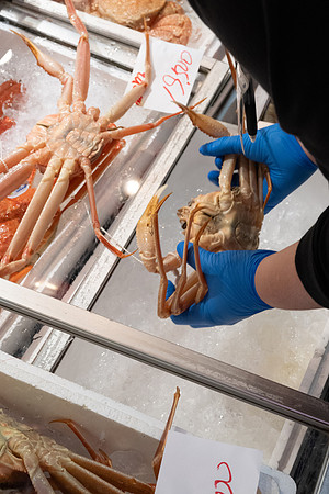 Kanazawa market crabs