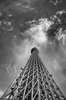 Tokyo tower bw