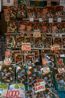 Tokyo mushrooms