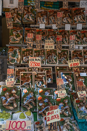 Tokyo mushrooms