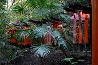 Kyoto Fushimi Inari torii gates 2