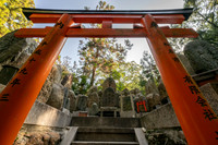 Kyoto Fushimi Inari torii gates 1