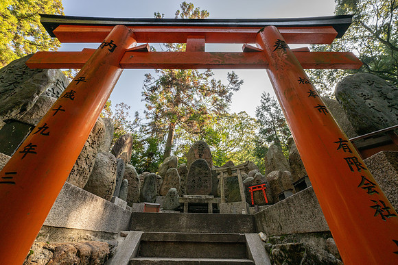 Kyoto Fushimi Inari torii gates 1