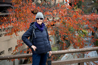 Takayama Jenni tree