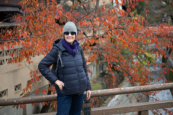 Takayama Jenni tree