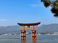 Miyajima torii gate in sea