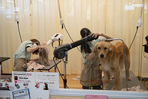 Takayama dog parlour