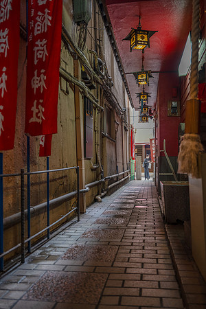 Tokyo Shrine alley