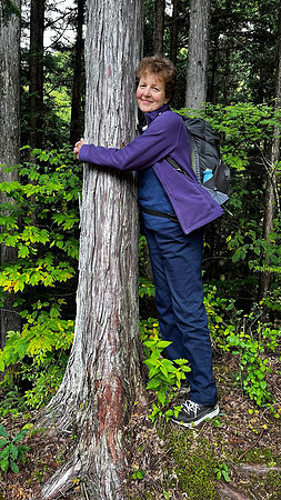 Tsumago Jenni tree hug