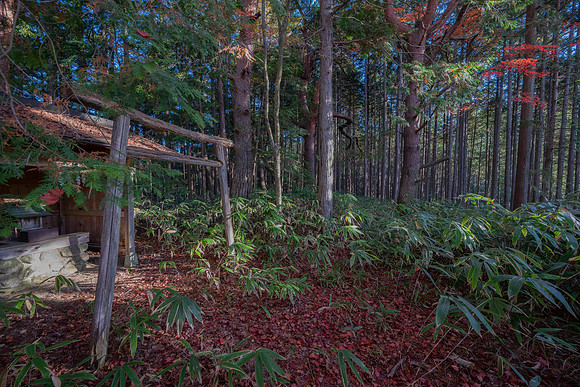 Tsumago ryokan hidden shrine