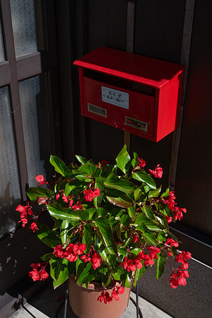 Takayama red post box and plant