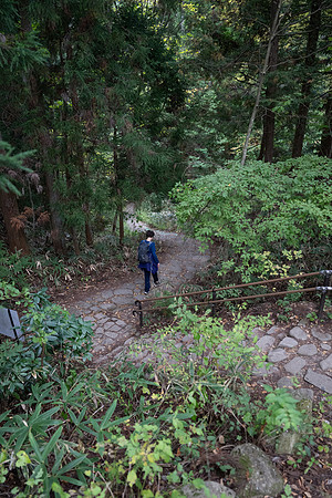 Takayama Jenni walk steps