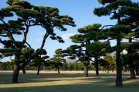 Tokyo Imperial palace park