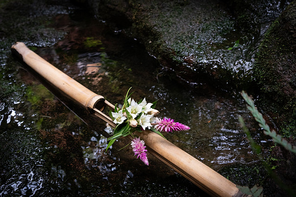 Kanazawa bamboo flowers