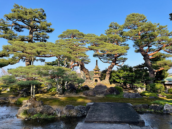 Kanazawa gardens pines
