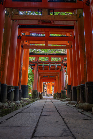 Kyoto Fushimi Inari shrine torri gates 5