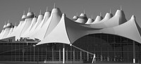 dia terminal bw