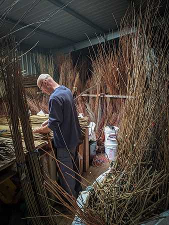 Eigg all about willow 10