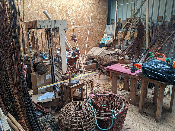 Eigg all about willow 12