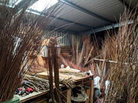 Eigg all about willow 13