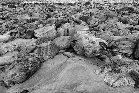 Eigg rocks BW