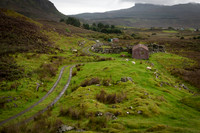 Eigg all about willow 1