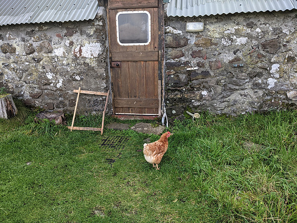 Eigg bothy chicken