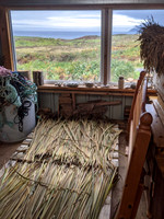 Eigg all about willow 11