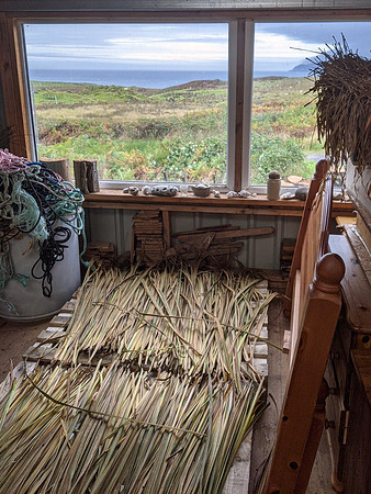 Eigg all about willow 11