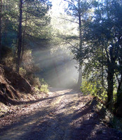 troodos sunrays