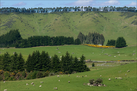 Te Anau landscape