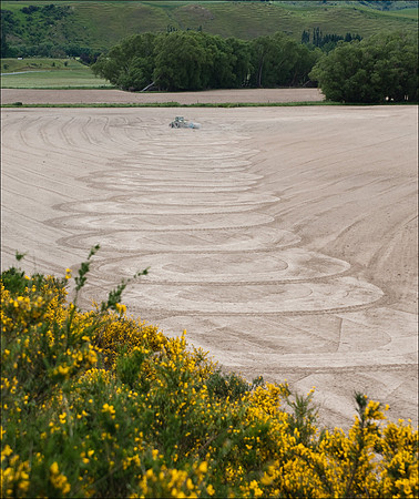 Field patterns 1