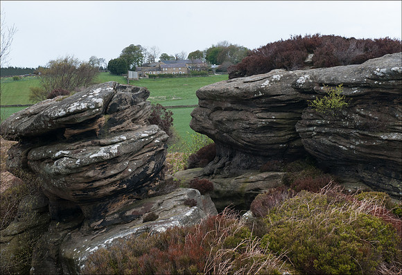 Brimham Rocks May 13_high north farm