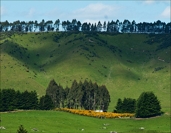 Te Anau Landscape 1