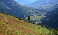 trail 401 singletrack 2