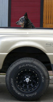 cb dog colour