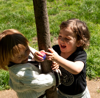 Felix Hendrix tree