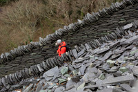 2023 Feb Llanberis Wales colour