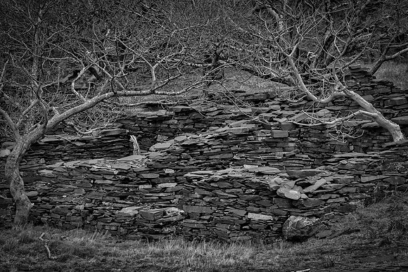 Llanberis ruin and trees 1
