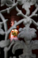 New Orleans courtyard through gate