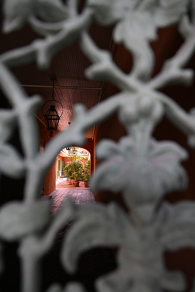 New Orleans courtyard through gate
