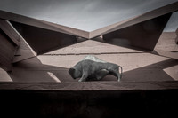 FLW skylight