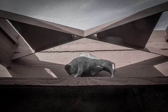 FLW skylight