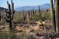 2019 Nov Phoenix MTB