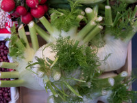 Bilbao market fennel