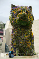 Jeff Koon puppy