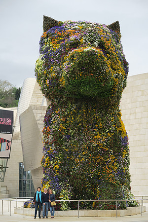 Jeff Koon puppy