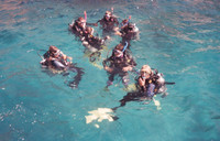 Hillside 1999 dive group