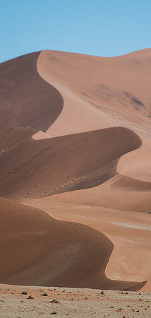 Deadvlei Sosusvlei dune curves